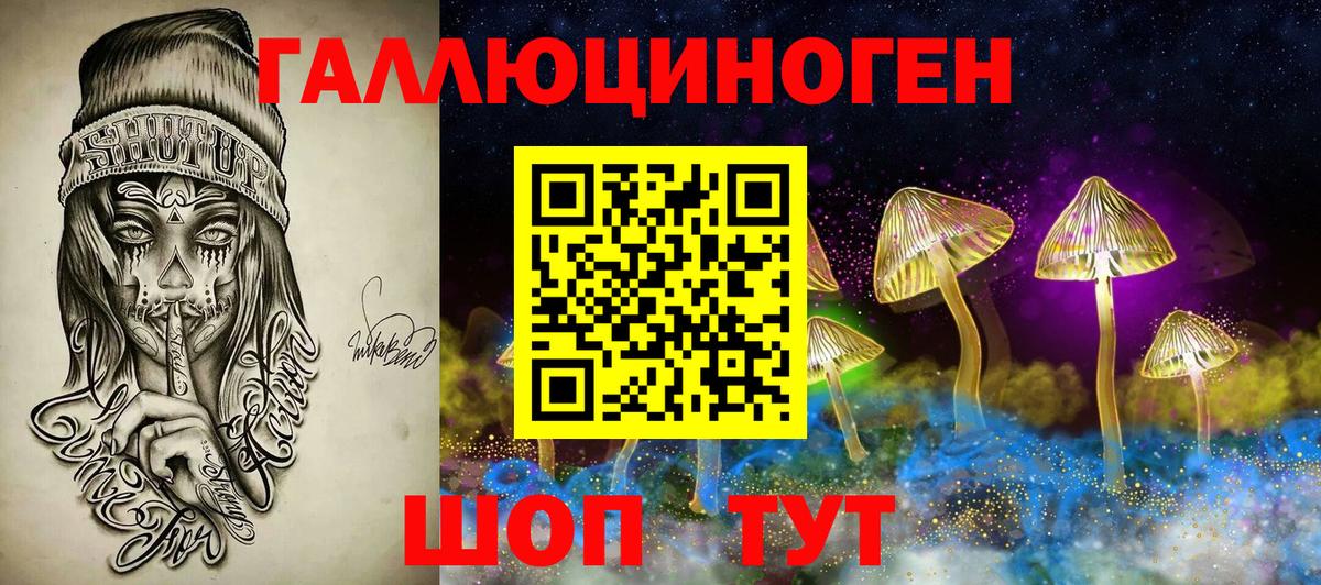 Псилоцибиновые грибы Psilocybe Черняховск