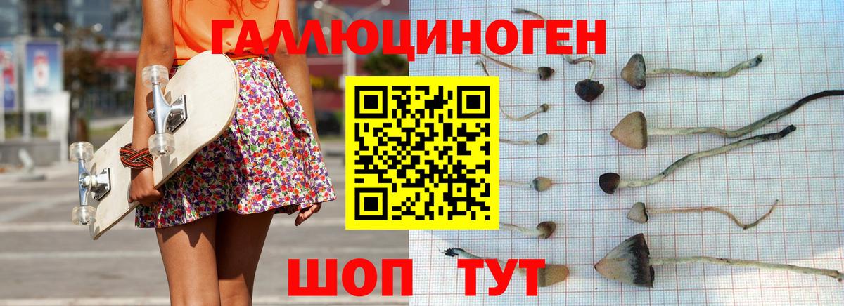 Галлюциногенные грибы мицелий  Вход с VPN  Черняховск  даркнет сайт  Галлюциногенные грибы Cubensis 